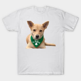 My spirit Pet Feelin' Green and Glorious T-Shirt